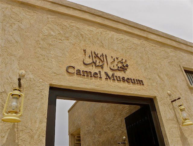 Camel mesuem To Visit In Dubai