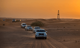 Desert Safari
