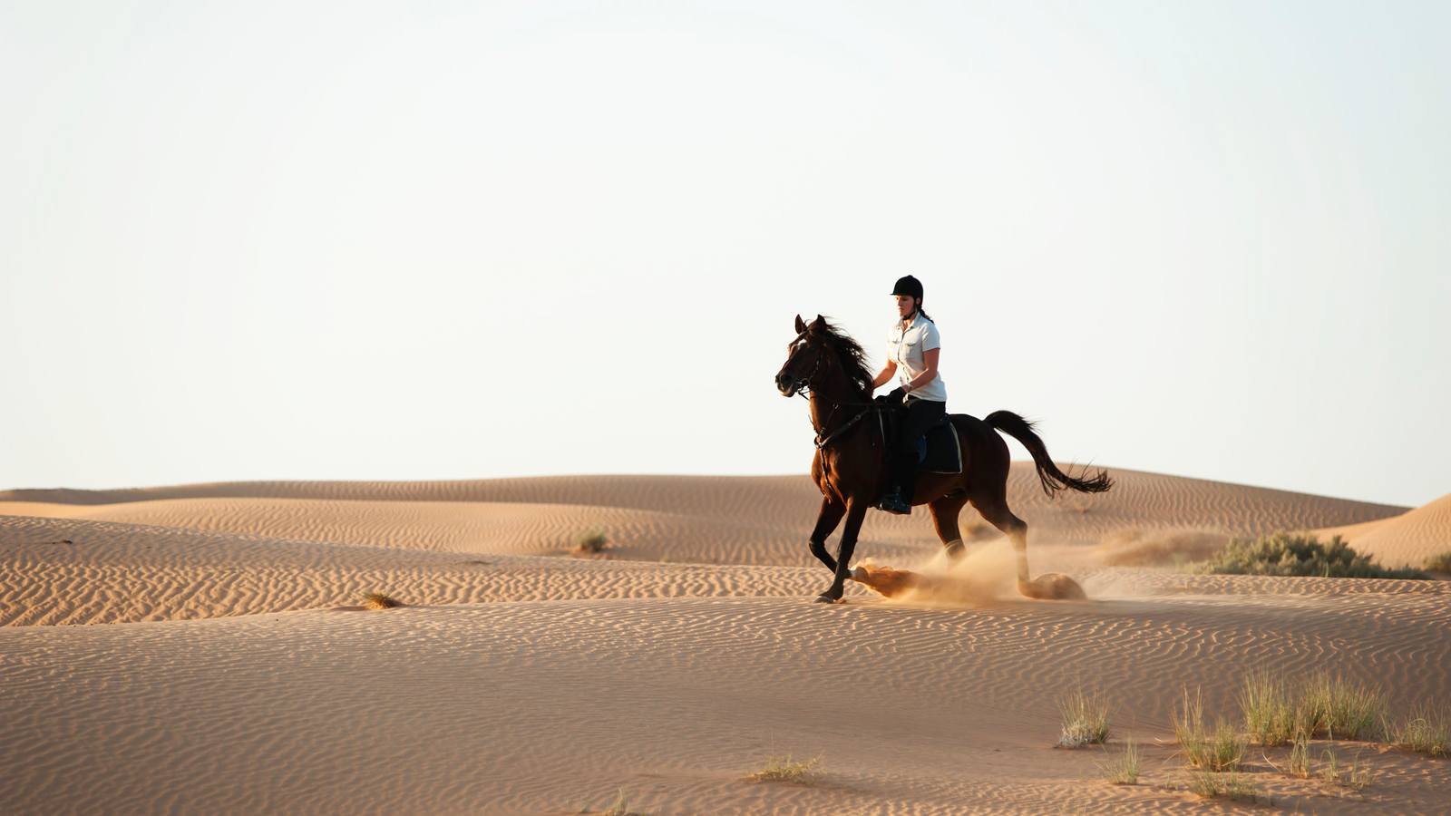 Horse Riding at Al Dhabi Stable