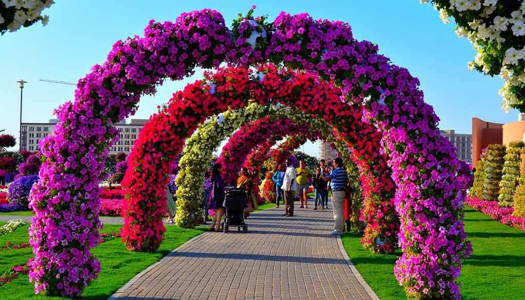 Dubai Miracle Garden