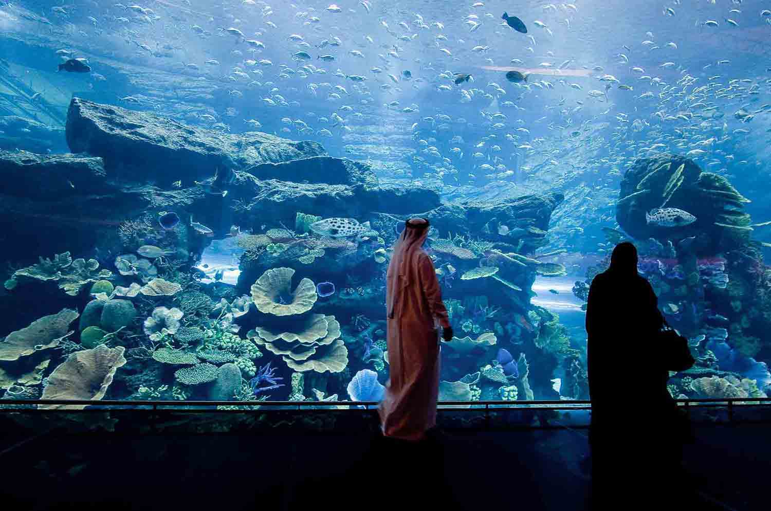 Underwater Zoo in Dubai Mall