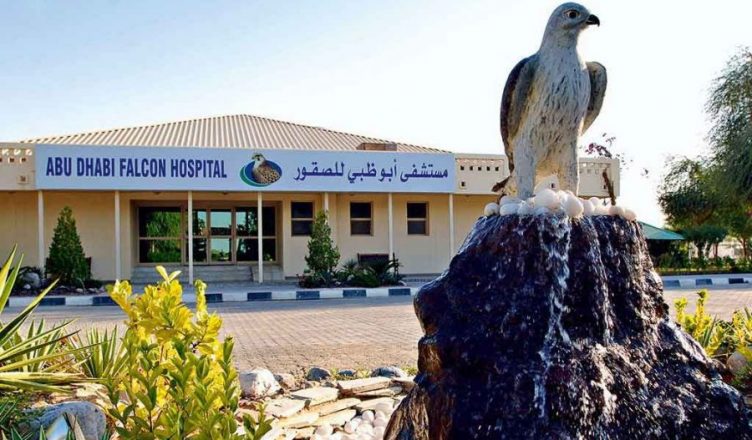 Abu Dhabi Falcon Hospital