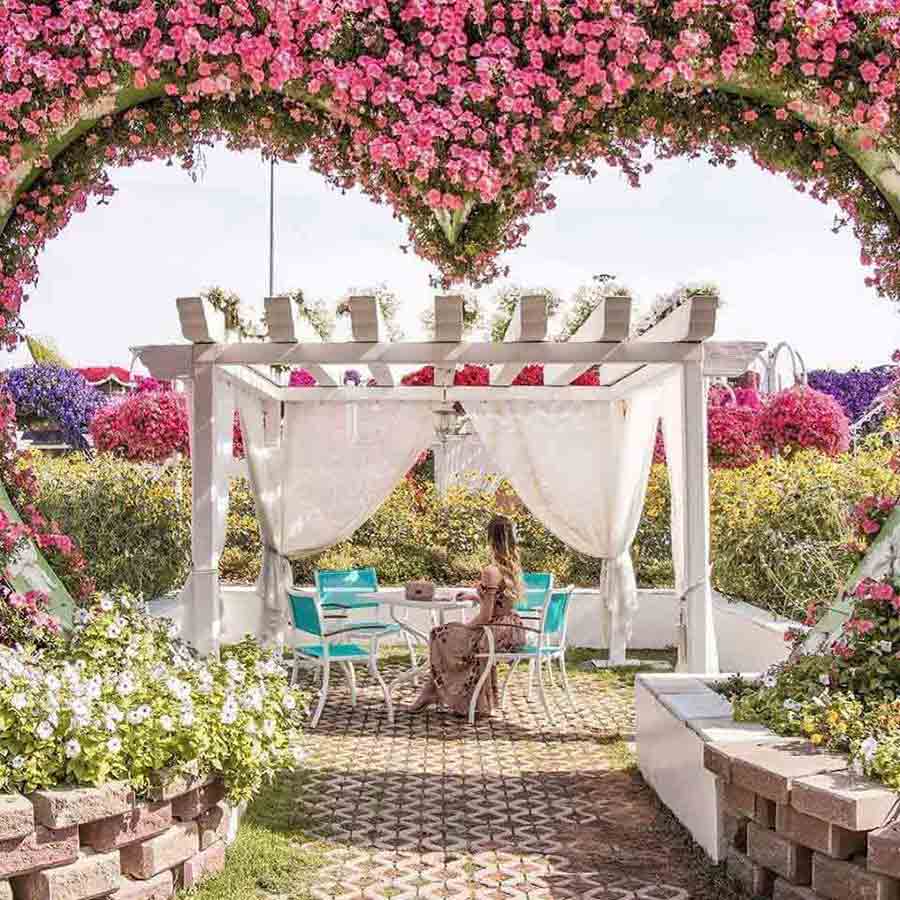 Dubai Miracle garden a romantic place to visit with our partner in Dubai images and photos