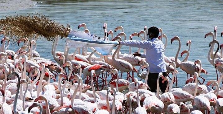 Ras al Khor Wildlife Sanctuary