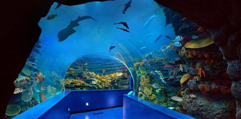 Sharjah Aquarium