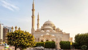 things to do in sharjah