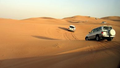 Best Desert Safari Dubai