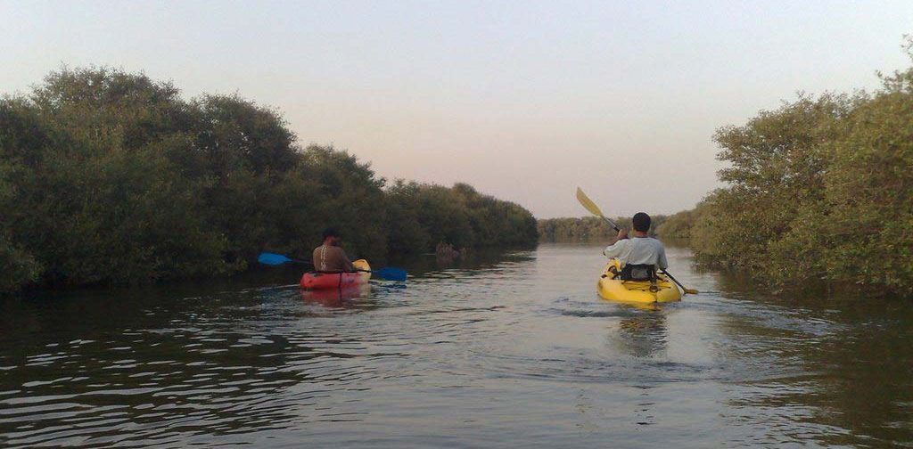 Ras Al Khaimah Mangrove