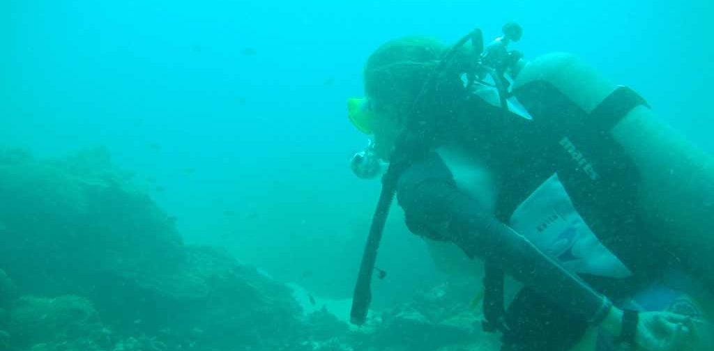 diving-in-musandam