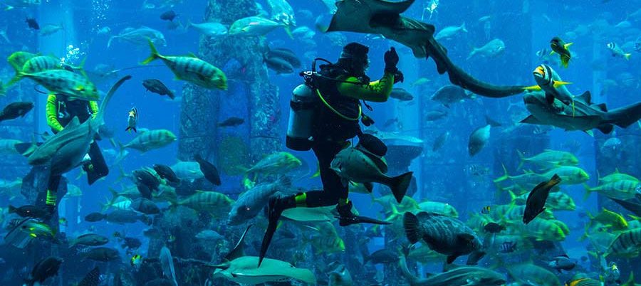 scuba-diving-in-dubai