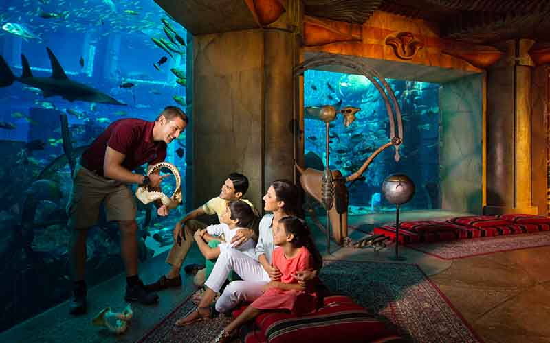 Explore the Lost Chambers Aquarium
