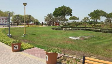 Al Quoz Pond Park Dubai